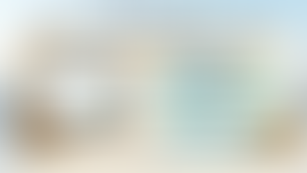 Purchasing MSEI Unlisted Shares In India With SN Capital.