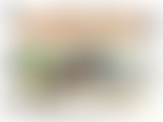 Joining the Circus- 2025