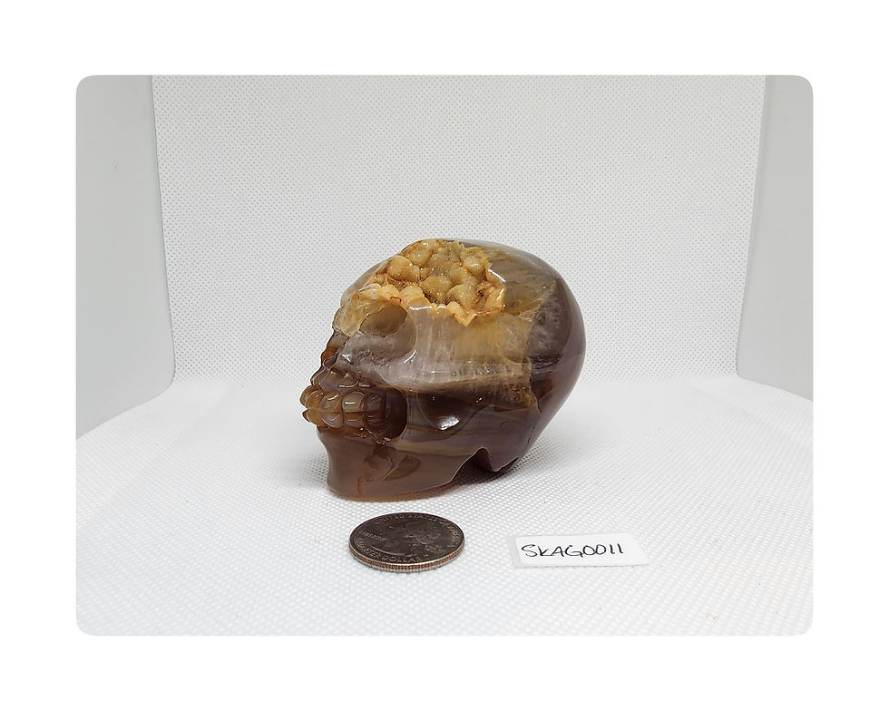 Druzy Pocket Agate Skull