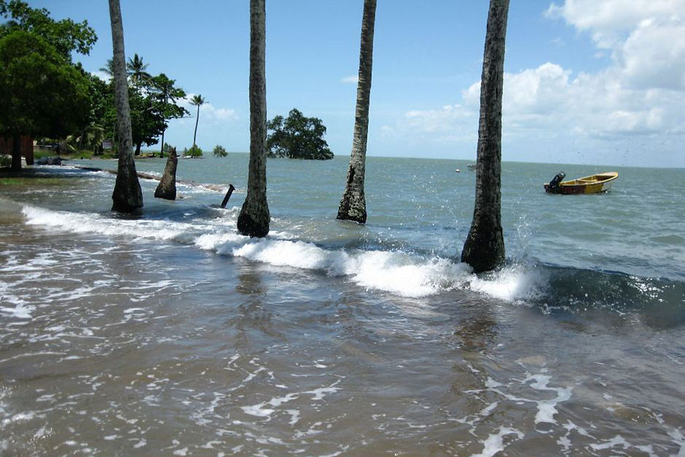 Glaciers will increasibly  be affected by Climate Change in the next decades