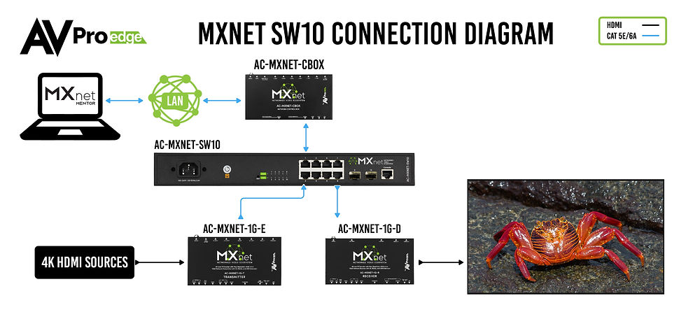 MXNetSW10ConnectionDiagram-01.jpg_v=1676318175.jpg