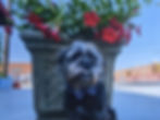 image000000 (6)