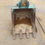 Thumbnail: Kobelco SK55 2017