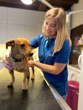 De Praktijk - DAP LUPO