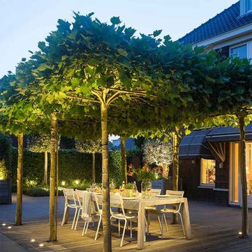 Stam Hoveniers - Tuin Impressies