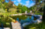 Total Garden projects - siervijver of zwemvijver