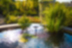 Total Garden projects - siervijver of zwemvijver