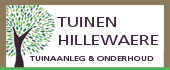 Hillewaere, Lieven