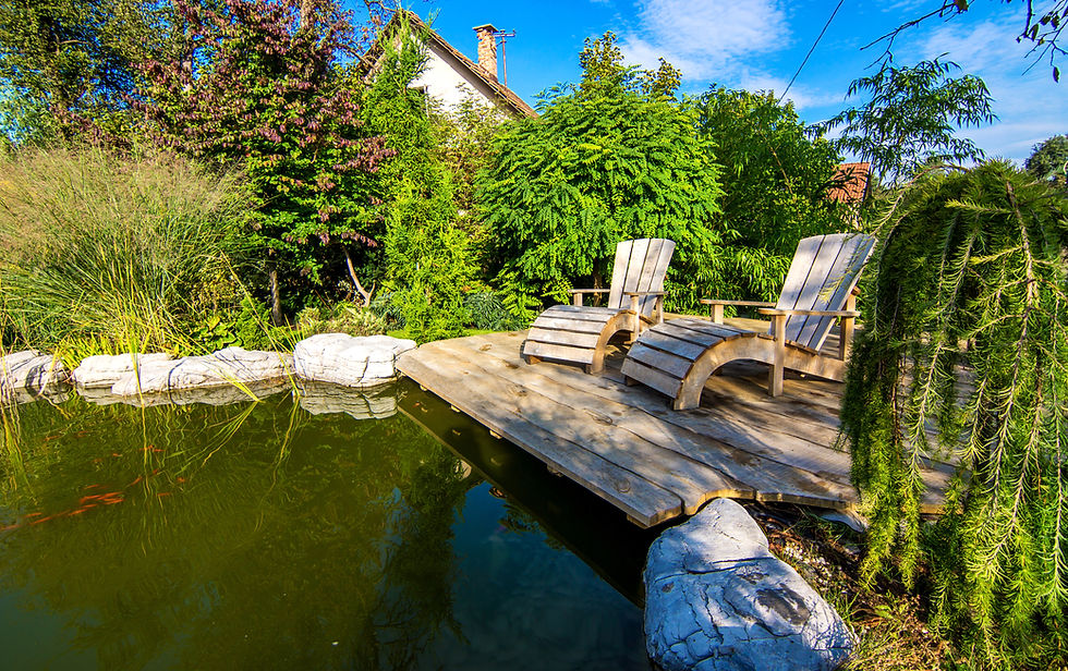 Total Garden projects - siervijver of zwemvijver