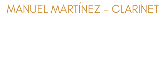 LOGO soloist.png