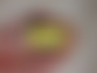 EDR-125 Gear Mg’R: microcomputer per gestire i carrelli retrattili