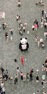 person dressed as a panda around people