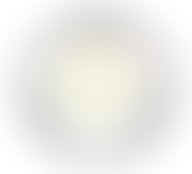 WHY ROTTERDAM IS ON A ROLL