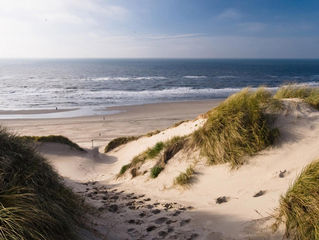 WILL THE DUTCH COAST REMAIN COAST?