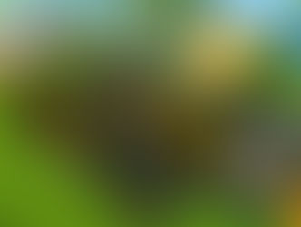 ОДИНОКИЙ ВОЛК С ДИКИМ РЁВОМ МОТОРА