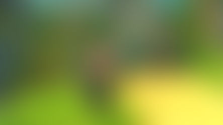 КАРТА ИЗ ГЛАВНОГО МЕНЮ