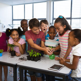 Why Community Public Schools, Like Edgewood, Matter