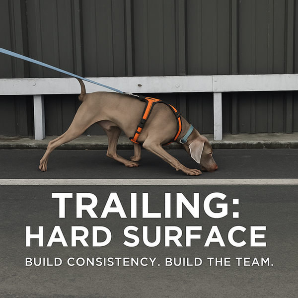 Trailing: Hard Surface