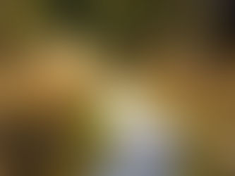 Top 10 places for creative inspiration