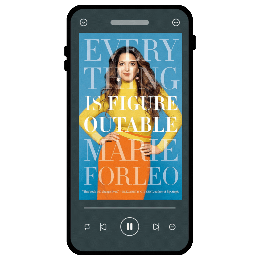 Everything is figureoutable audiobook