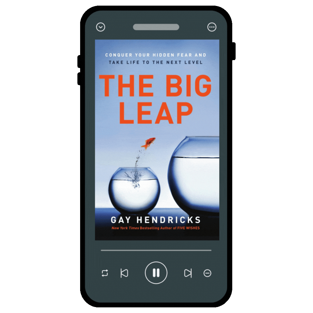 The Big Leap Audiobook