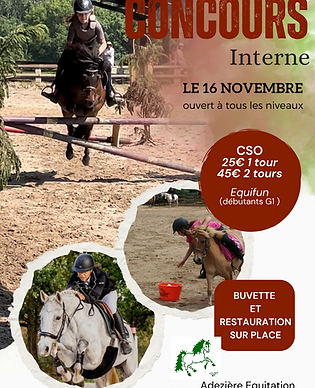 Grey And White Modern Horse Riding Lessons Flyer (1).png