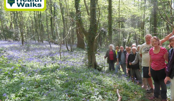 St Leonards Churchwood Nature Reserve