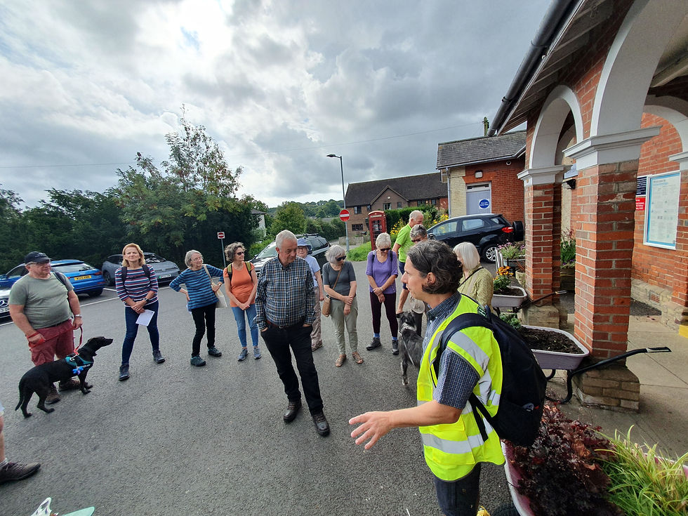 High Weald Walking Festival 2023