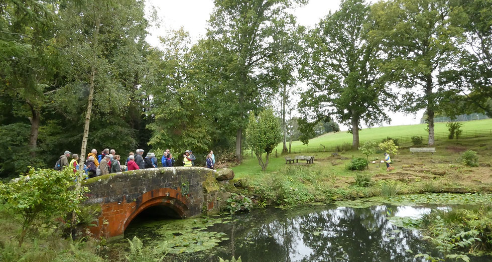 Lionel Pringle_Gravetye_2_edited.jpg