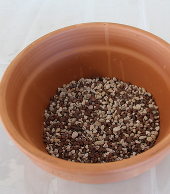 3. Grow pot with scoria_pumice mix.JPG