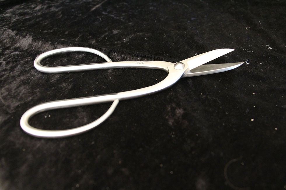Stainless steel scissors