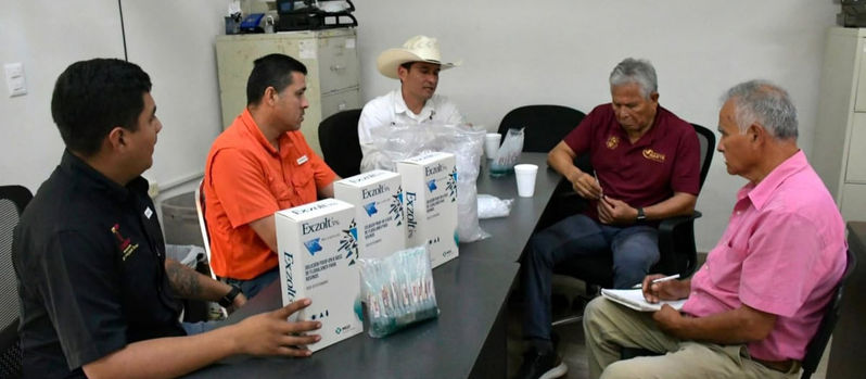 Impulsan medidas preventivas para salvaguardar la salud de becerros recién nacidos