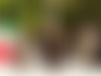 Conmemoran en Tamaulipas el 5 de mayo con toma de protesta a jóvenes del SMN
