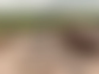 Mantiene Tamaulipas ritmo en obras hidráulicas para fortalecer el suministro de agua