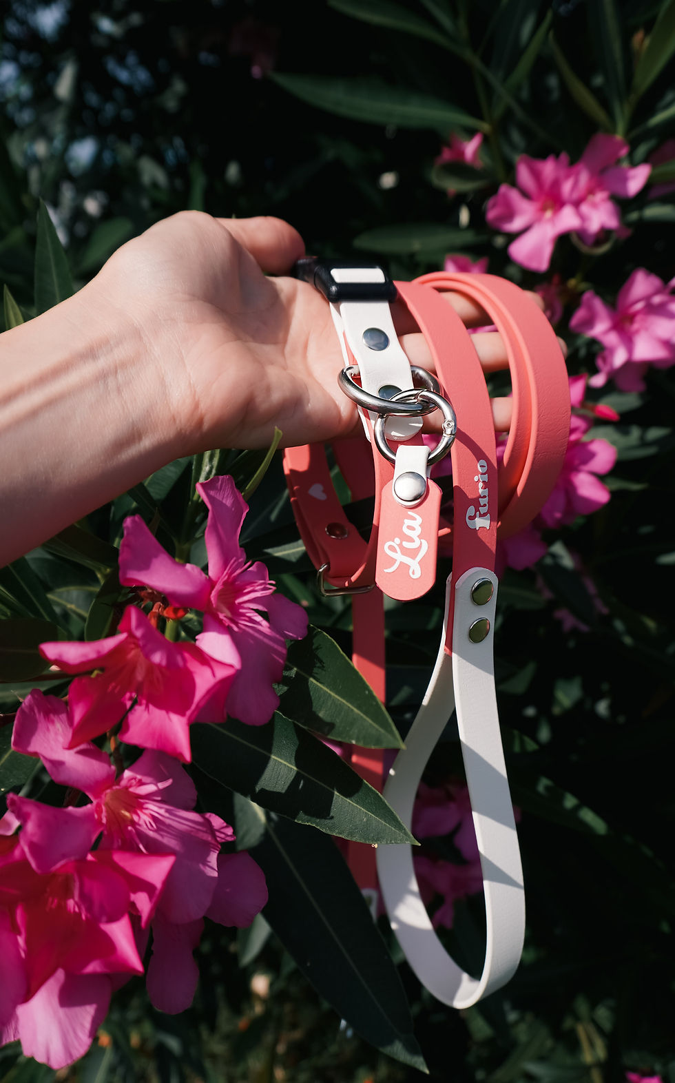 Miniatura: Collare impermeabile Biothane ® Classico CLIP 19mm