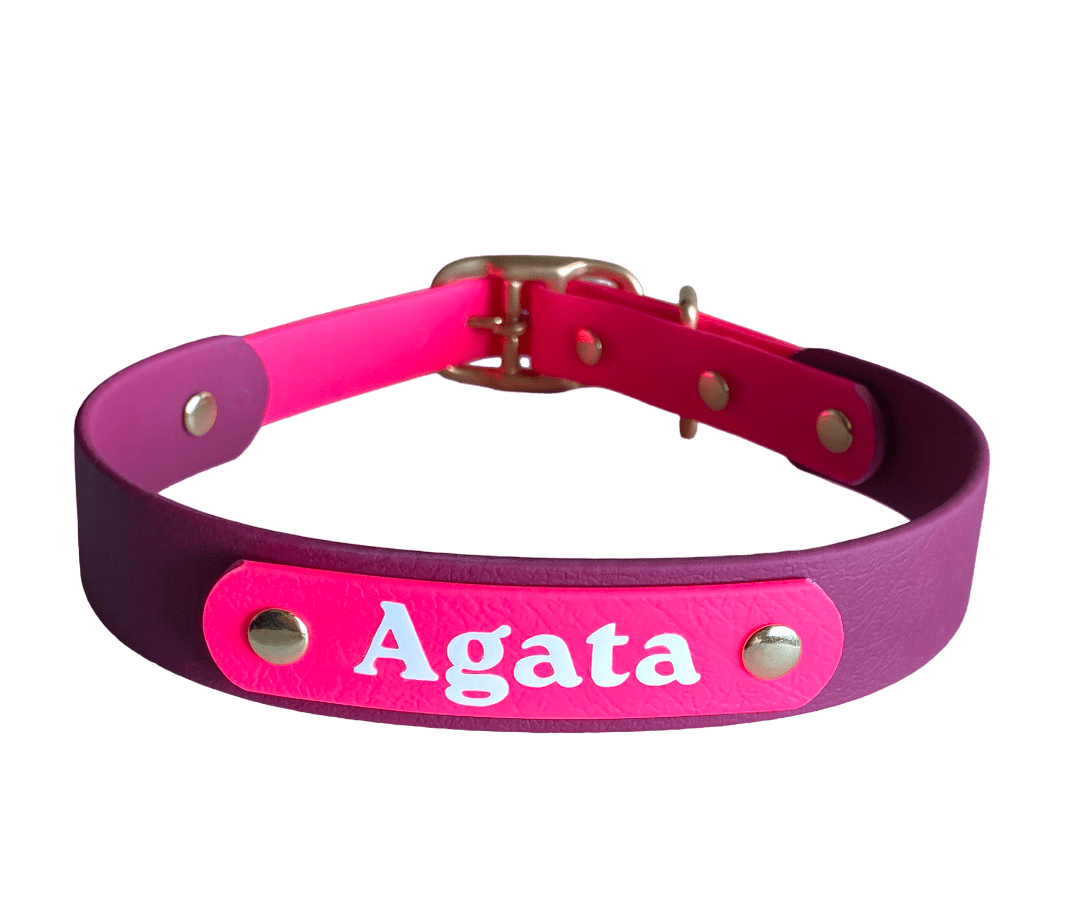 Collare impermeabile Biothane ® Explorer 25mm