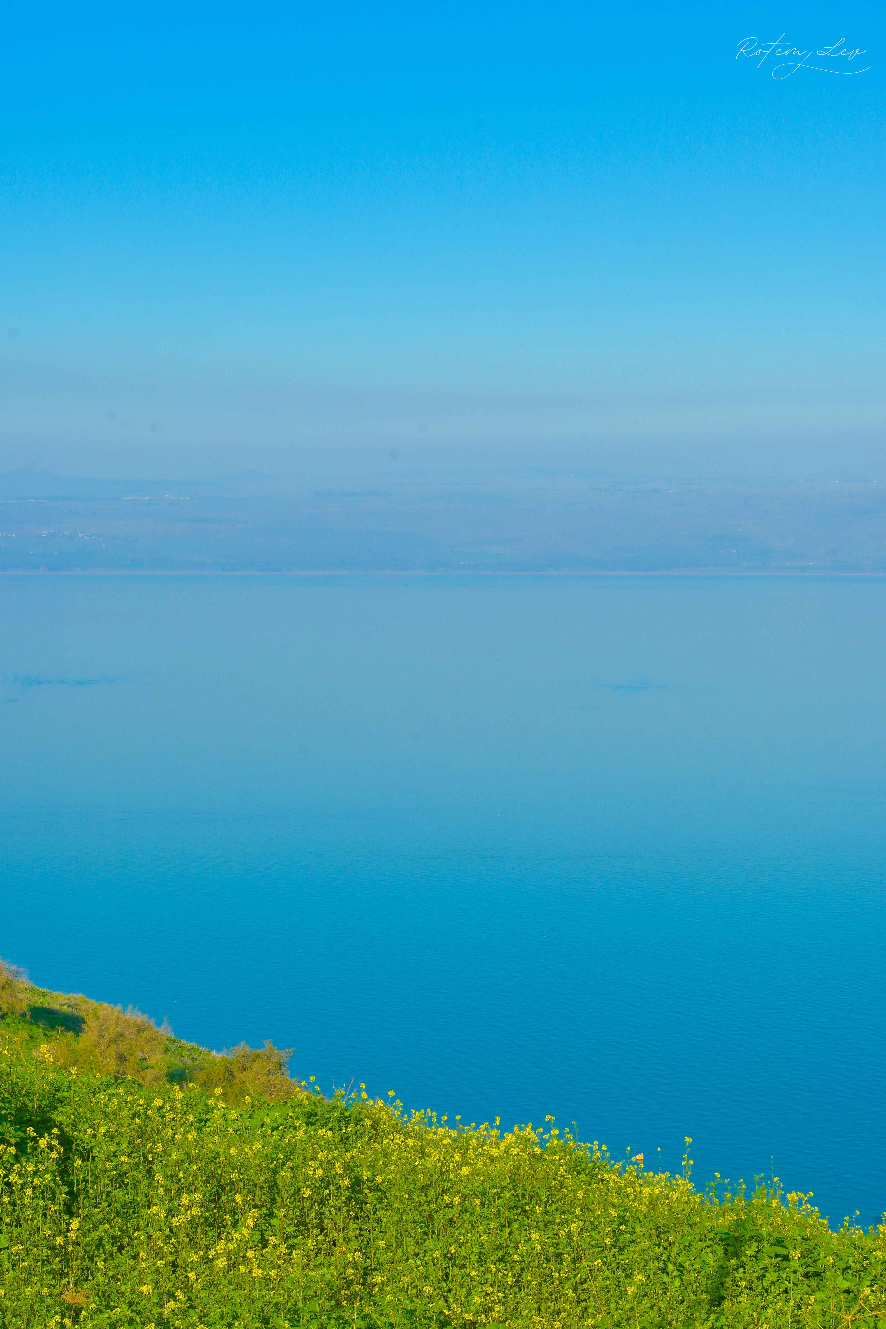 copy of copy of copy of copy of copy of copy of copy of copy of Dead Sea
