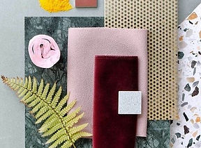 redesign scholl (1).jpg