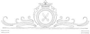 barber weston super mare