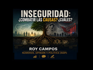 Inseguridad: ¿Combatir las causas? ¿Cuáles?
