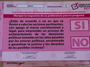La Consulta ¿tiene sentido?