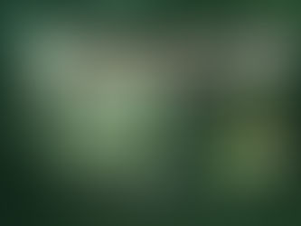 PORTEROS Y DEFENSAS: LOS NOMINADOS POR LOS AFICIONADOS. Marzo 2026