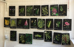 2018 Ardoises du potager