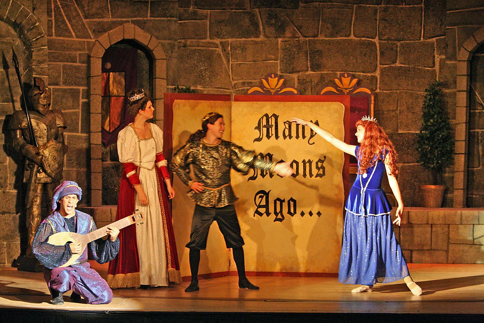 2009 Once Upon A Mattress