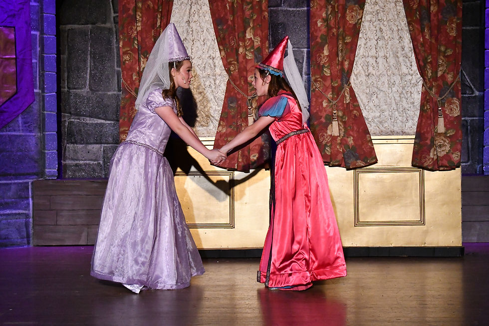 2018 12 Dancing Princesses