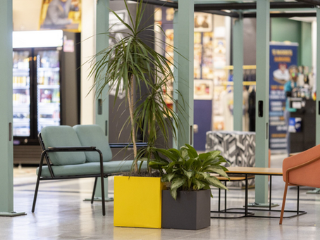 Big Ideas Start Here: Selden Market Opens Retail Proposal Applications!