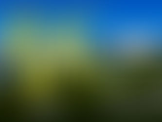 The Hills Are Alive! VAF Announces Complete Cast for The Sound of Music