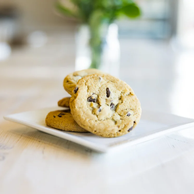 Discover a Fresh Take on Indulgence at My Vegan Sweet Tooth!