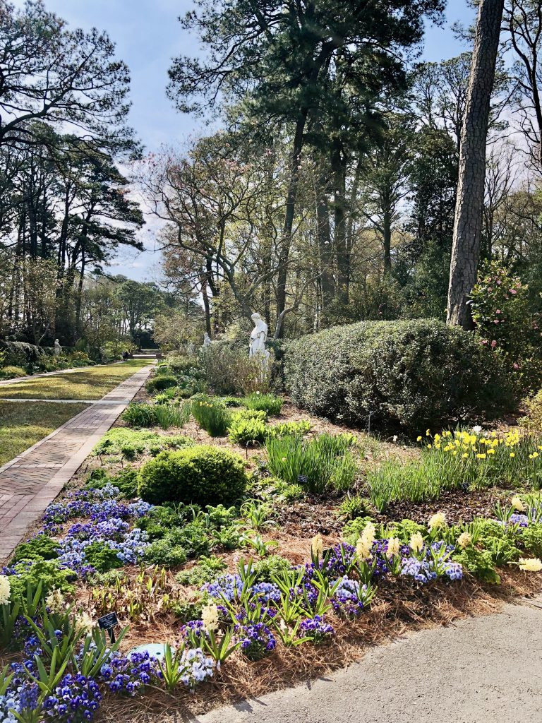 Two paths diverge at the Norfolk Botanical gardens. Well kept flowers line the triangle created, and a statue of a lady can be seen a bit farther down one trail.