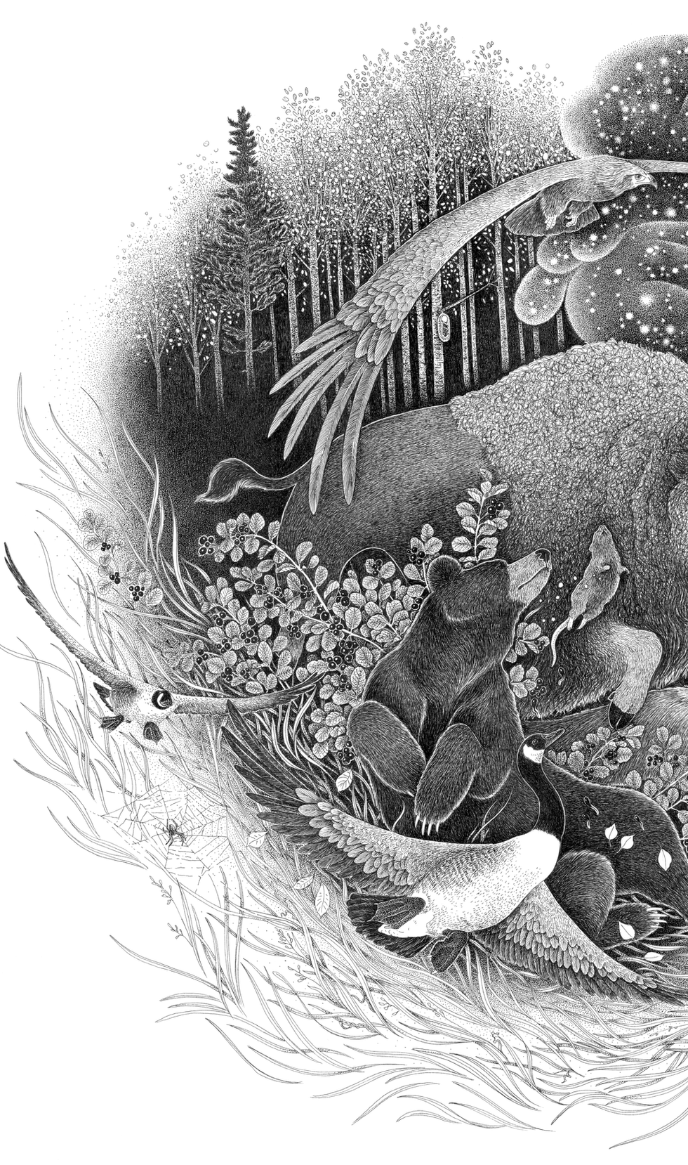 IPE-illustration-crop4